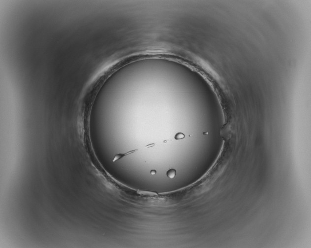 X0000115551456200911131554