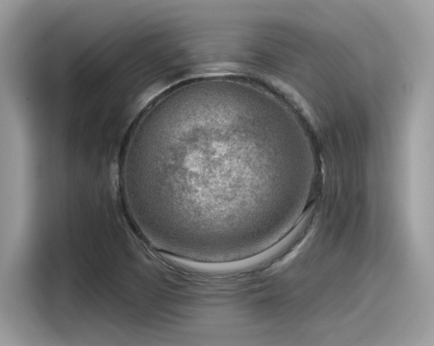 X0000115551457200911131554