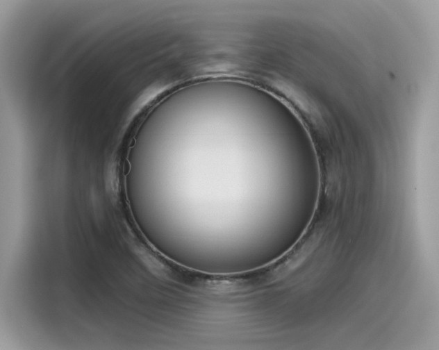 X0000115551458200911131554