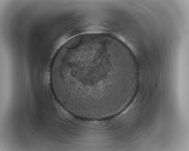 X0000115551459200911131554