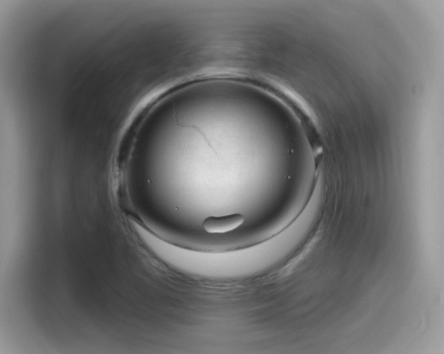 X0000115551461200911131554