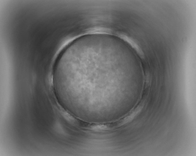 X0000115551462200911131554