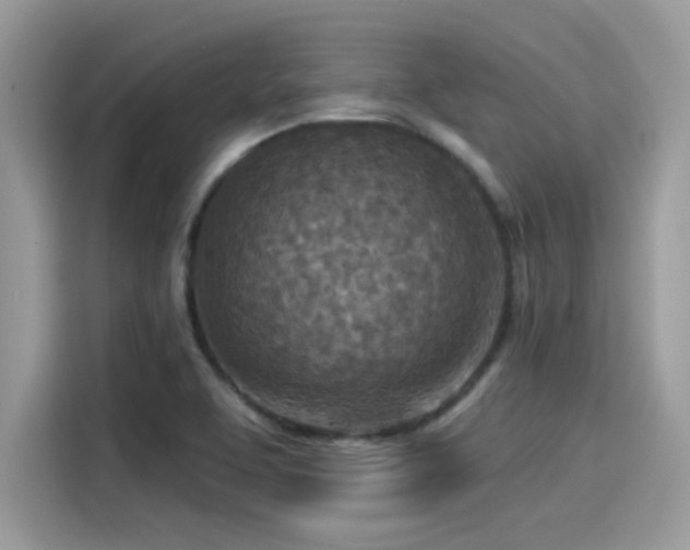 X0000115551463200911131554