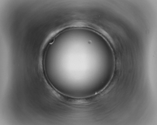 X0000115551464200911131554