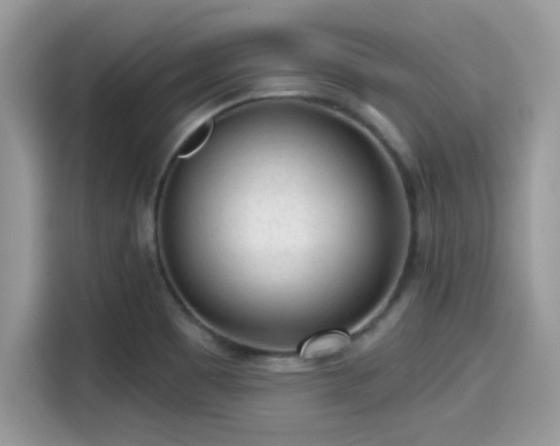 X0000115551465200911131554