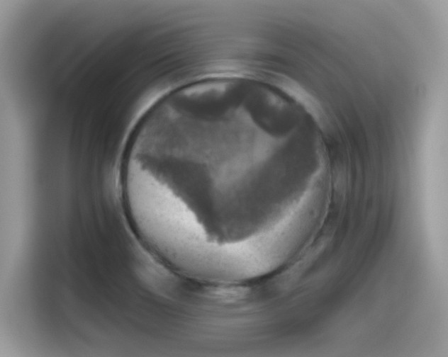 X0000115551466200911131554