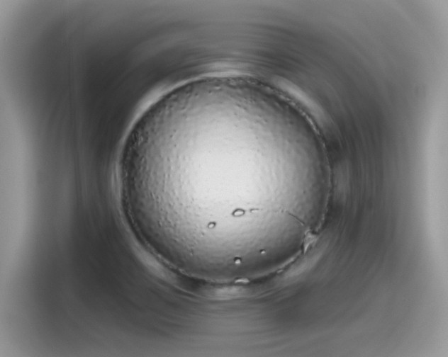 X0000115551467200911131554