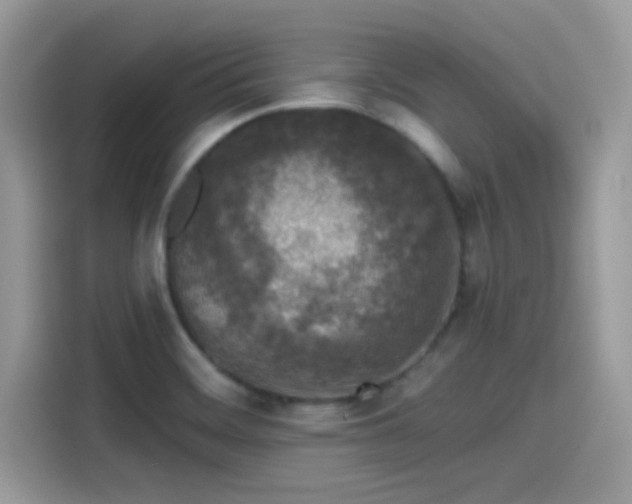 X0000115551468200911131554