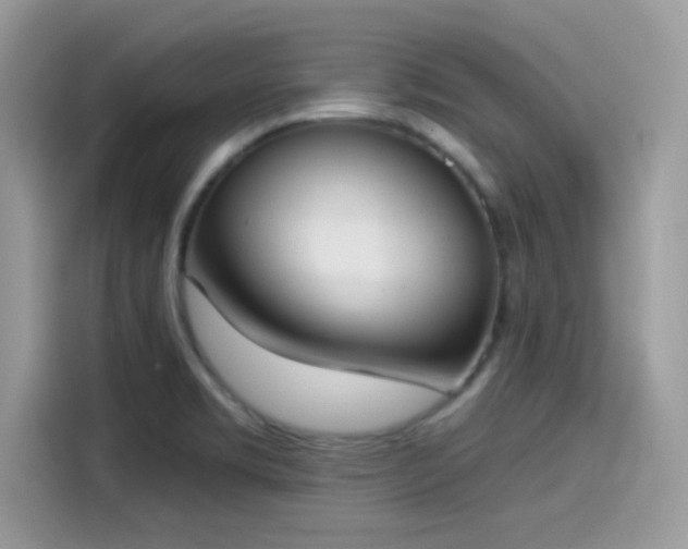 X0000115551469200911131554