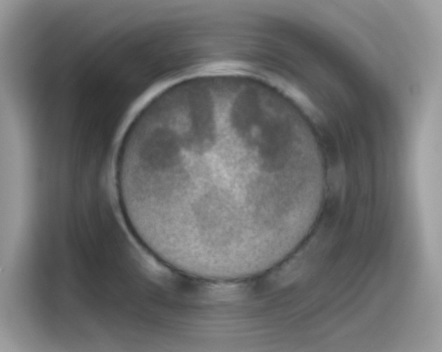X0000115551470200911131554