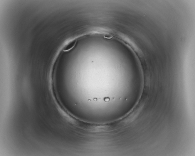 X0000115551471200911131554