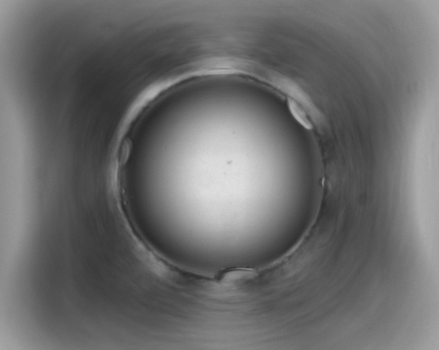 X0000115551472200911131554