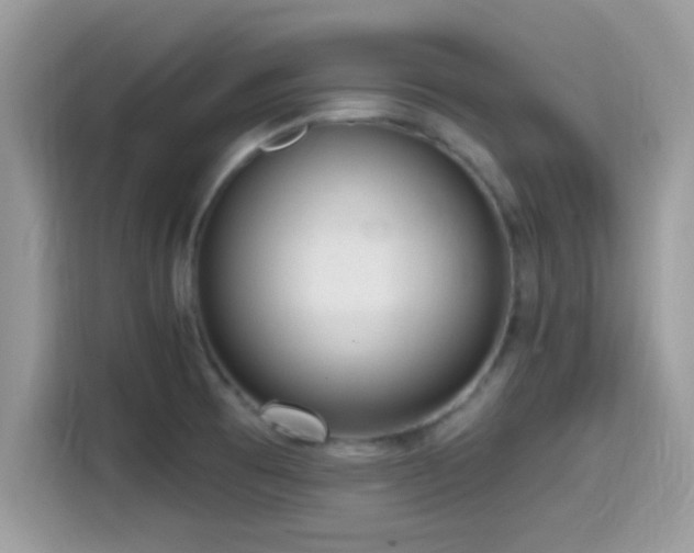 X0000115551473200911131554