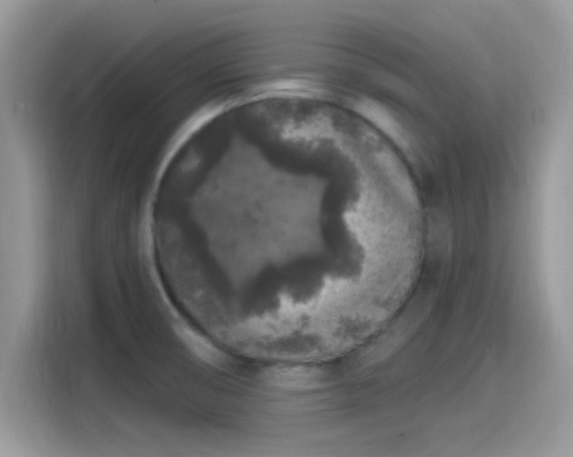 X0000115551474200911131554