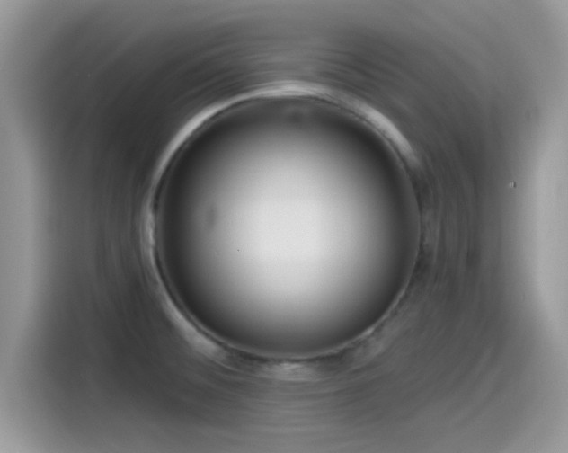 X0000115551476200911131554