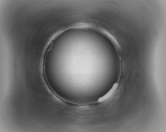 X0000115551477200911131554