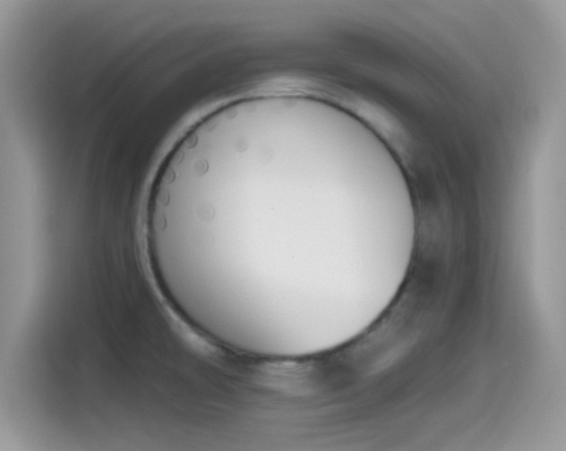 X0000115551478200911131554