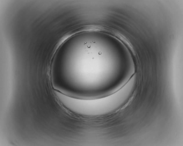 X0000115551481200911131554