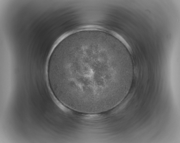 X0000115551482200911131554