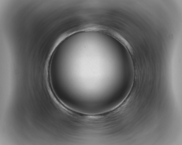 X0000115551483200911131554