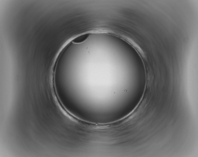 X0000115551484200911131554