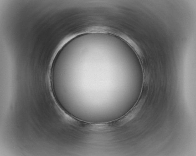X0000115551486200911131554