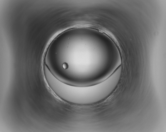 X0000115551488200911131554