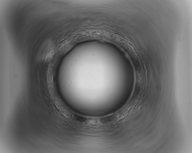 X0000115551489200911131553