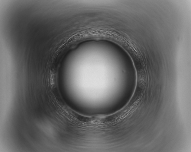 X0000115551490200911131553