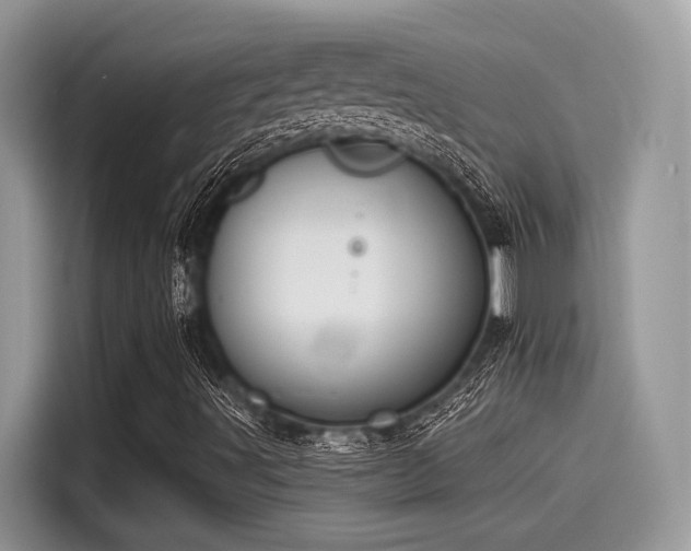 X0000115551491200911131553