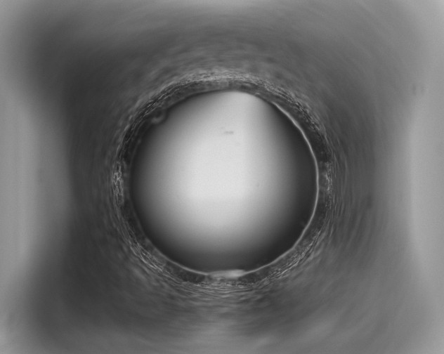 X0000115551493200911131553