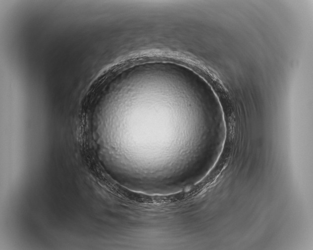 X0000115551494200911131553