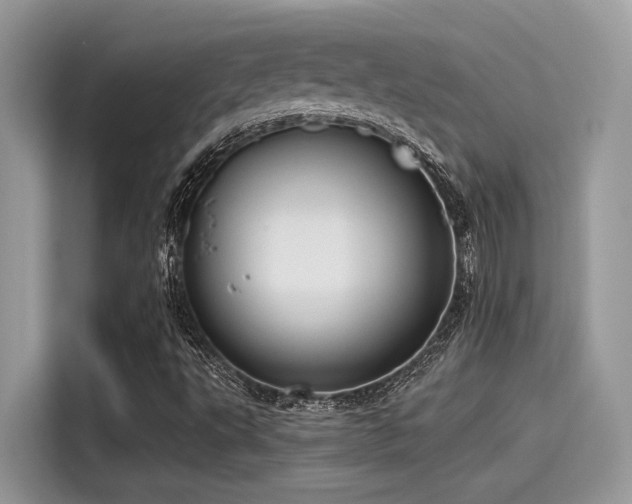 X0000115551495200911131553