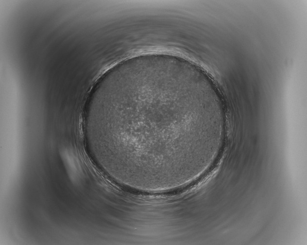 X0000115551497200911131553
