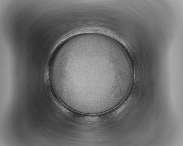 X0000115551498200911131553