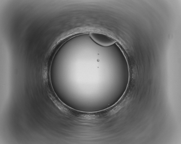 X0000115551499200911131553