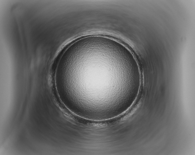 X0000115551501200911131554