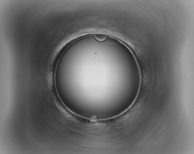 X0000115551503200911131554
