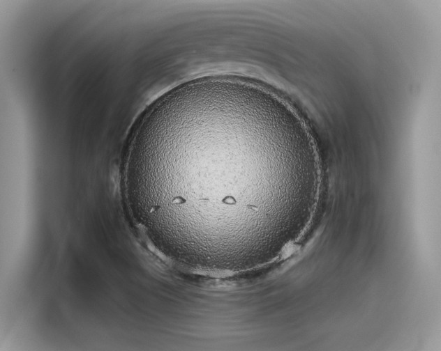 X0000115551505200911131554
