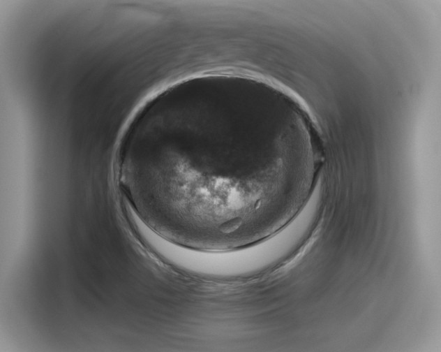 X0000115551506200911131554