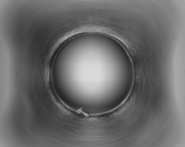 X0000115551507200911131554