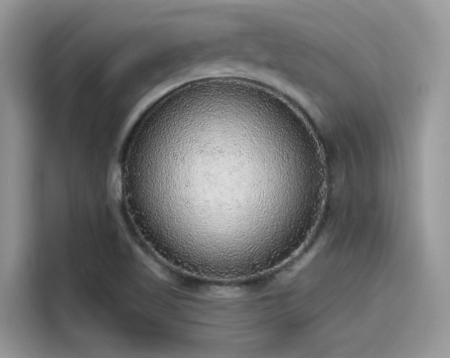 X0000115551509200911131554