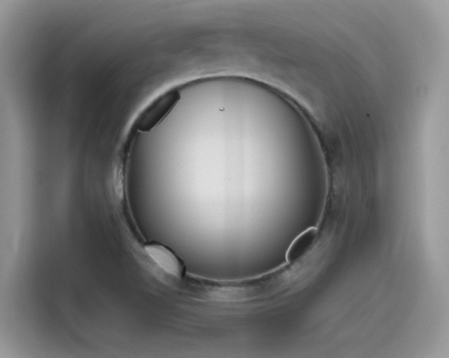 X0000115551510200911131554