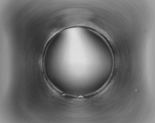 X0000115551513200911131554