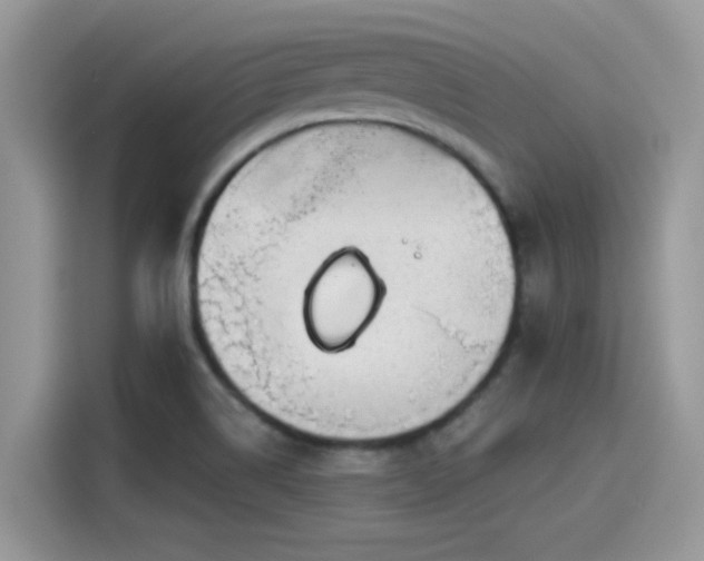 X0000115551514200911131554