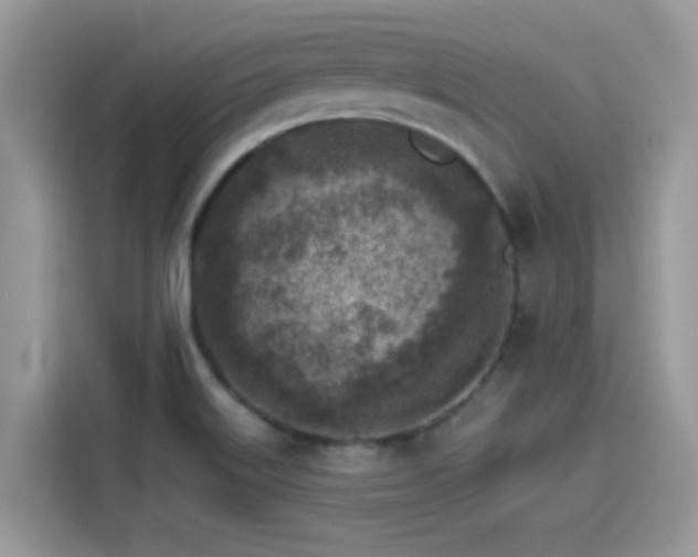 X0000115551515200911131554
