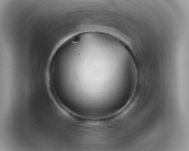 X0000115551517200911131554