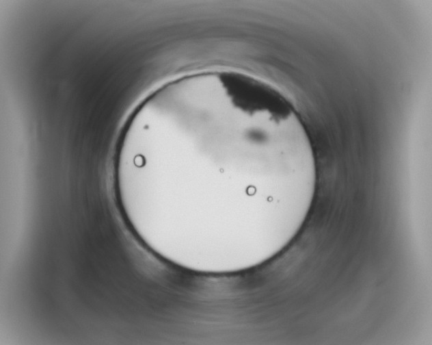 X0000115551518200911131554