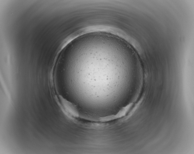 X0000115551521200911131554