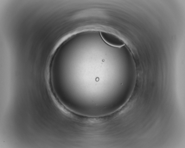 X0000115551523200911131554